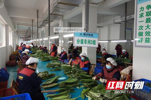 康华实业 扶贫工厂 复工忙 暖心工程 有力量