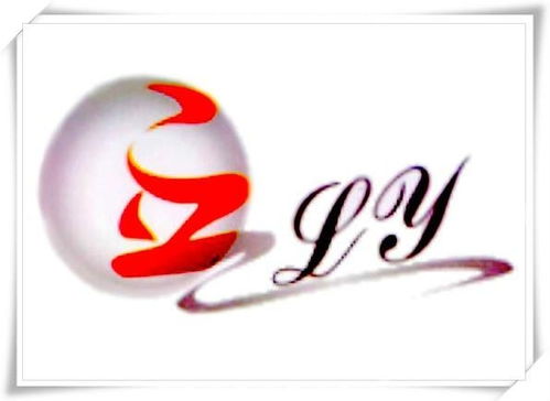 上海立影实业 从传统实业到创新未来的探索之路